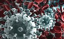 Coronavirus: Istituito il numero verde