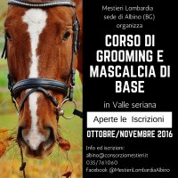 Corso gratuito di Grooming e Mascalcia