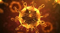 Emergenza coronavirus 122 - Decreto Legge 8 aprile 2020